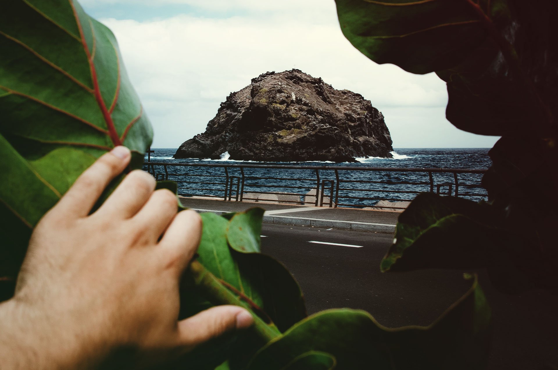 Foto de una mano en la parte inferior izquierda apartando unas hojas que dan vista a una barandilla desde la cual se puede ver el mar mientras las olas golpeando una enorme roca