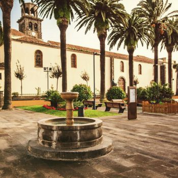 Foto de una plaza con palmeras con un edificio antiguo detrás