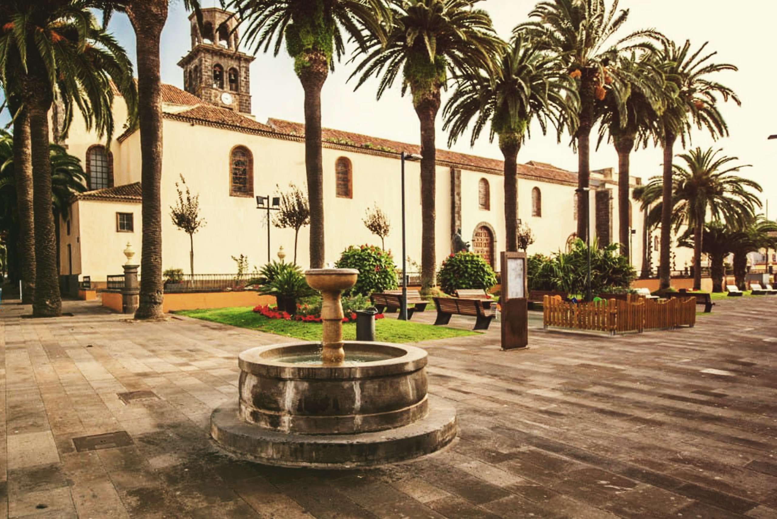 Foto de una plaza con palmeras con un edificio antiguo detrás