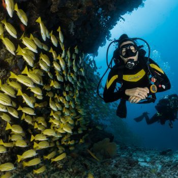 Foto de dos buceadores pasando al lado de un banco de peces pequeños y amarillos que están debajo de un arrecife.