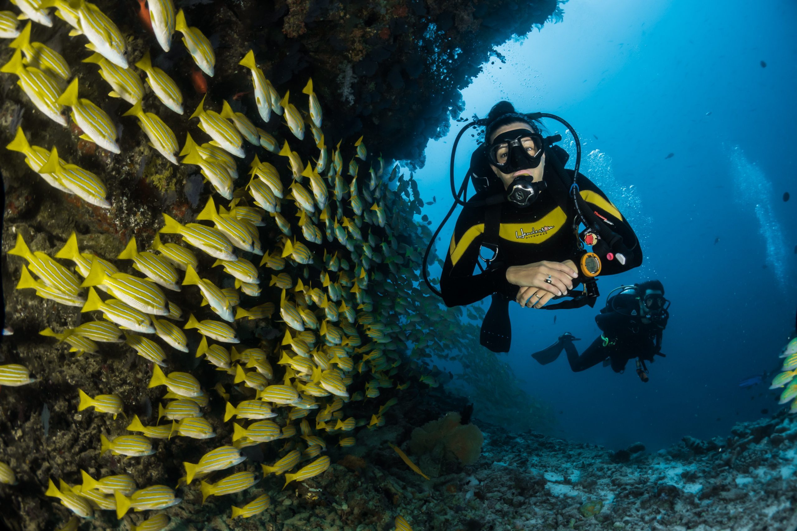 Foto de dos buceadores pasando al lado de un banco de peces pequeños y amarillos que están debajo de un arrecife.