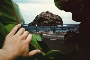 Picture of a hand on the lower left pushing aside some leaves overlooking a railing from which the sea can be seen as the waves hit a huge rock.